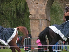 REMPARTS LONGWY 2008 278